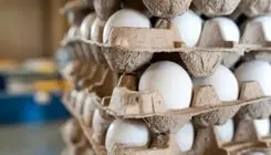 قیمت رسمی تخم مرغ اعلام شد (۱۴ آبان ۱۴۰۴)