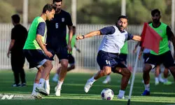 فقط ادای احترام در می‌آوریم