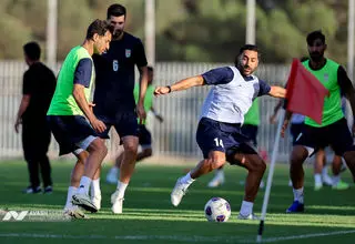 فقط ادای احترام در می‌آوریم