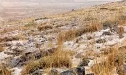 لحظه بارش برف در روستای میاب مرند در 30 شهریورماه