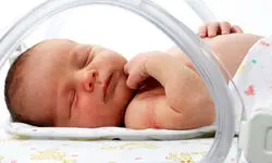 تولدهای سزارینی زیر تیغ تقویم/ تب تاریخ‌های رند از ۸۸/۸/۸ تا ۵/۵/ ۰۵