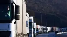 برنج و گوشت پاکستانی رسماً وارد ایران شدند