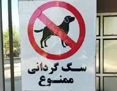 پلمب مهد سگ در تبریز