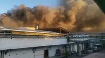شرکت لبنیانی کاله آمل دچار حریق شد