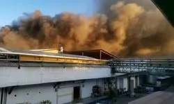 شرکت لبنیانی کاله آمل دچار حریق شد