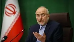 قالیباف توضیحاتی درباره اهرم‌های فشار ایران بر اقتصاد آمریکا ارائه کرد