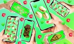 بلومبرگ: بازار پسته در جهان از همیشه داغ‌تر شده است