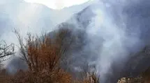 ۴۰۰ نیروی امدادی و ۸ بالگرد در عملیات اطفای حریق هیرکانی مستقر هستند