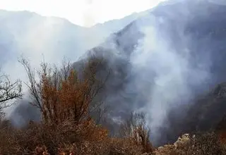 ۴۰۰ نیروی امدادی و ۸ بالگرد در عملیات اطفای حریق هیرکانی مستقر هستند