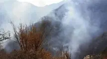 مدیرکل منابع طبیعی استان گیلان خبر داد:‌ آتش‌سوزی در ۶۰ هکتار از جنگل های گیلان 