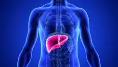 با این ترفندها کبد خود را همیشه سالم نگه دارید