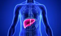 این بیماری کبدی بدون علامت شما را از پای در می‌آورد