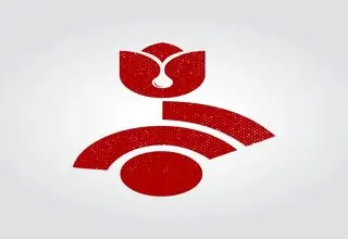 هنرمندان برای ایران مشغول کارند
