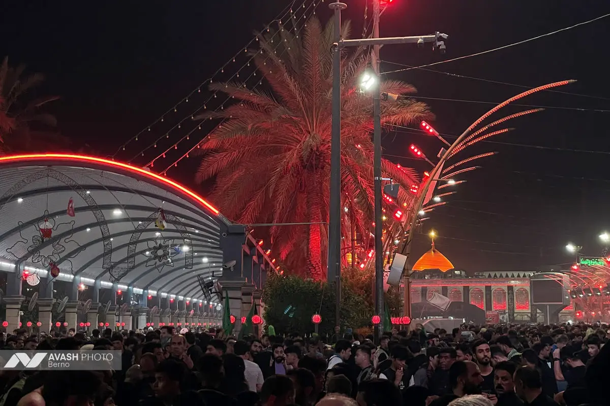 زائران اربعین در مسیر نجف به کربلا