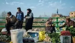 کوچک‌شدن سفره کار 