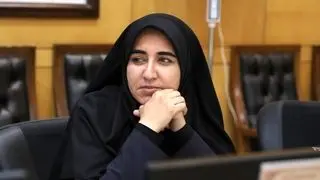 برخی اتباع در ناآرامی‌های موجود در کشور نقش داشتند 