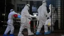 ویروس «نیپا» چیست و چقدر باید نگران آن باشیم؟