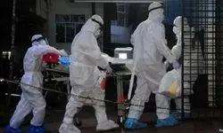 ویروس «نیپا» چیست و چقدر باید نگران آن باشیم؟