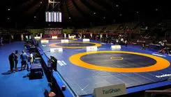 دستیار نامرئی پیروزی‌های کشتی ایران