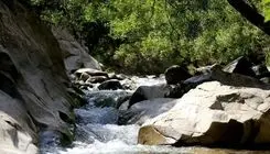  چال ماهی تهران کجاست؟