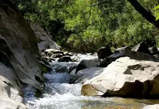  چال ماهی تهران کجاست؟