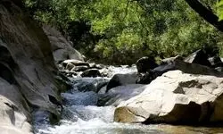  چال ماهی تهران کجاست؟