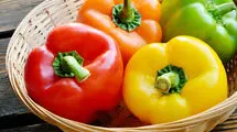 غذای موردعلاقه پرنسس دایانا