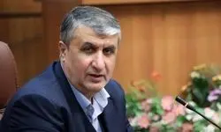 رییس سازمان انرژی اتمی روز ملی ارتش را تبریک گفت 