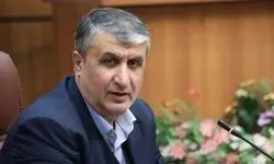 اسلامی: ممانعت از حضور من در نشست آژانس نتیجه شگفت‌آوری داشت