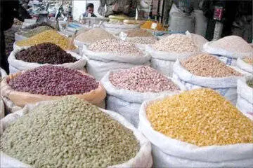 لوبیا چیتی ارزان شد+جزئیات