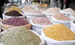 لوبیا چیتی ارزان شد+جزئیات