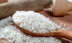  درباره برنج ایران بازهم خبر بد رسماً اعلام شد