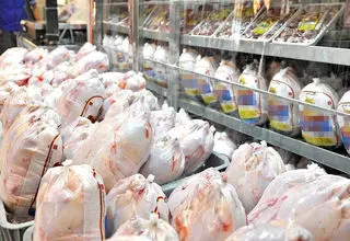 احتمال افزایش قیمت مرغ به دنبال افزایش هزینه های تولید