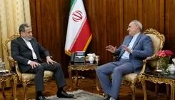 دیدار سفیر جمهوری اسلامی ایران در پاکستان با وزیر امور خارجه
