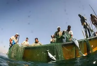 بازگشت ۱۰ صیاد مفقودشده اهل بندرلنگه‌