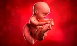 پلمب یک مکان غیرقانونی سقط جنین در چالوس