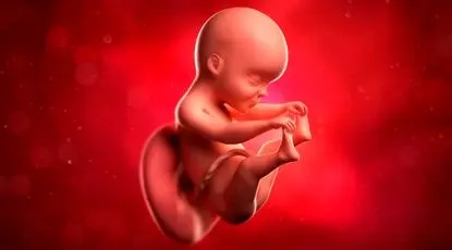 دلایل اصلی سقط جنین چیست؟ 