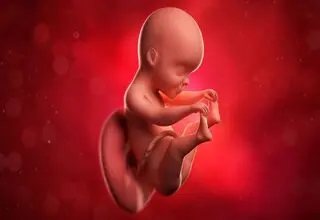 پلمب یک مکان غیرقانونی سقط جنین در چالوس