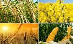 مصوب شدن نرخ تمامی محصولات جز ۲ محصول کشاورزی