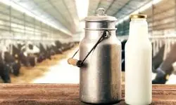 خبر خوش درباره قیمت شیر خام رسماً اعلام شد