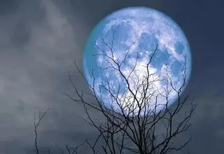 فردا شب همه به آسمان نگاه کنند