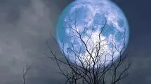 فردا شب همه به آسمان نگاه کنند