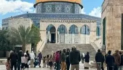  تکرار تعرض ده ها صهیونیست به مسجد الاقصی 