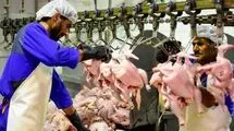  هیچ کمبودی در بازار وجود ندارد؛ نظارت مستمر برای جلوگیری از گران‌فروشی