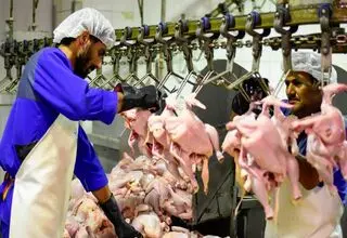  هیچ کمبودی در بازار وجود ندارد؛ نظارت مستمر برای جلوگیری از گران‌فروشی