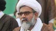 رهبر شیعیان پاکستان: جهان جشن توافق می‌گیرد، اما فلسطینی‌ها تهدید می‌شوند