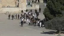 مصر یورش شهرک‌نشینان به مسجدالاقصی را محکوم کرد