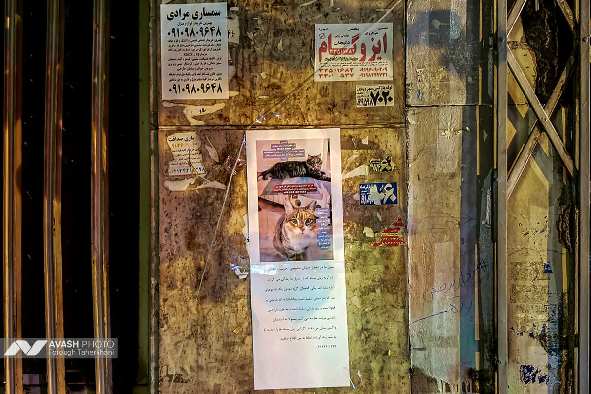 جای  پای جنگ