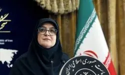 مهاجرانی: همکاری ما با آژانس بین‌المللی انرژی اتمی شکل جدیدی به خود می‌گیرد
