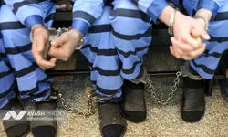 پول خون زن تهرانی فقط ۵۰ میلیون! شوهر، دو قاتل اجاره‌ای را سر خانه فرستاد